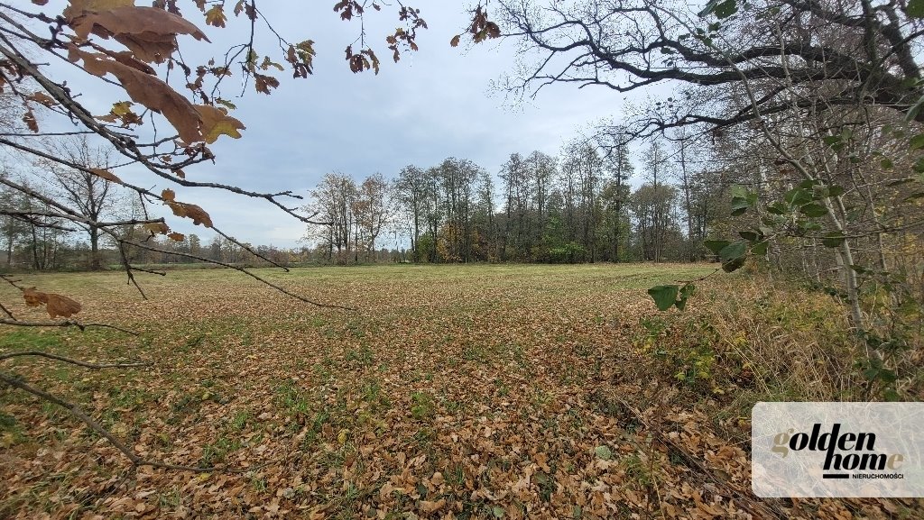 Działka budowlana na sprzedaż Kąkolewo, Albertowsko  5 000m2 Foto 5