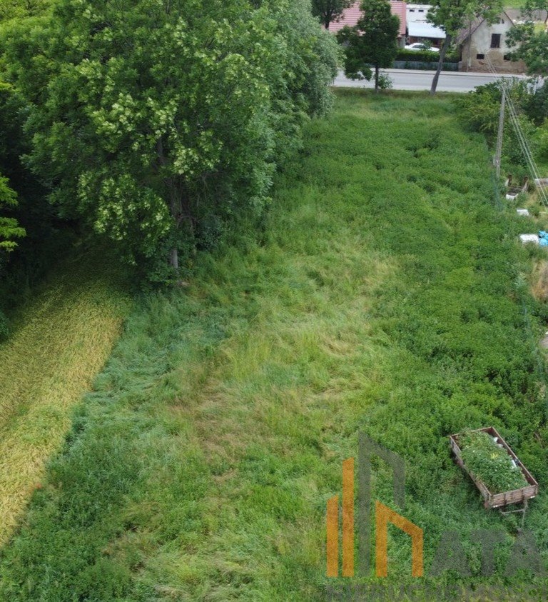 Działka budowlana na sprzedaż Dobkowice  1 500m2 Foto 3