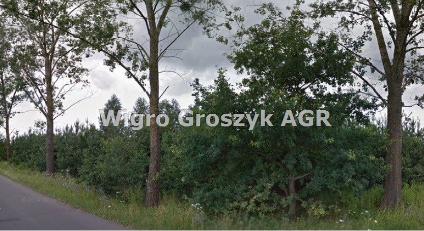 Działka 16 900 m² pod rekreację i zabudowę (Secymin Polski) Secymin Polski  16 900m2 Foto 1