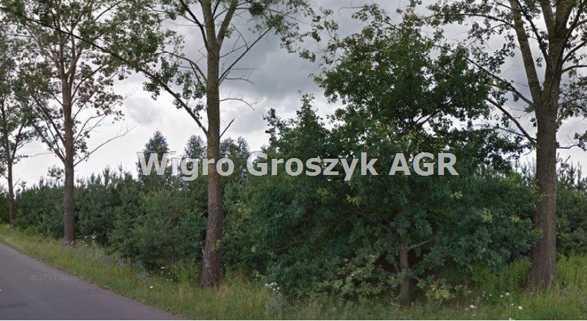 Działka rolna na sprzedaż Secymin Polski  16 900m2 Foto 1