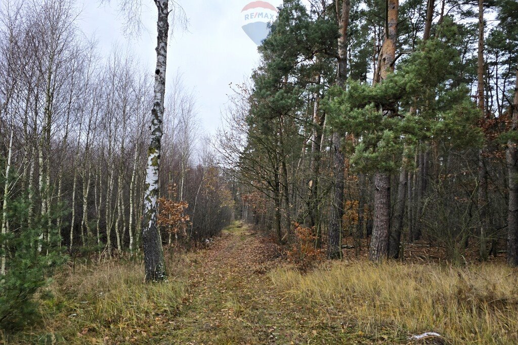 Działka budowlana na sprzedaż Nekielka, Makowa  2 253m2 Foto 9