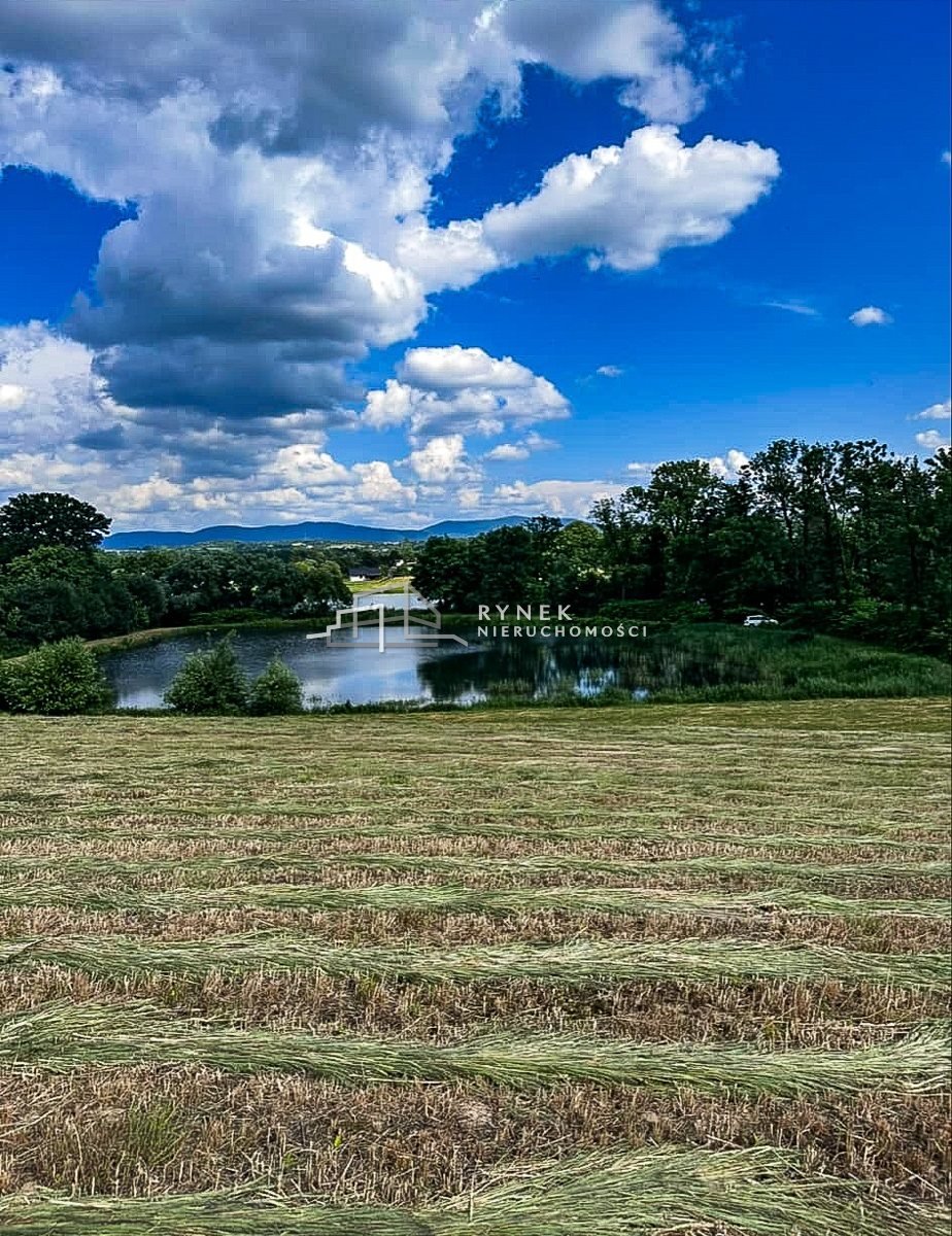 Działka inna na sprzedaż Międzyrzecze Dolne  3 030m2 Foto 5