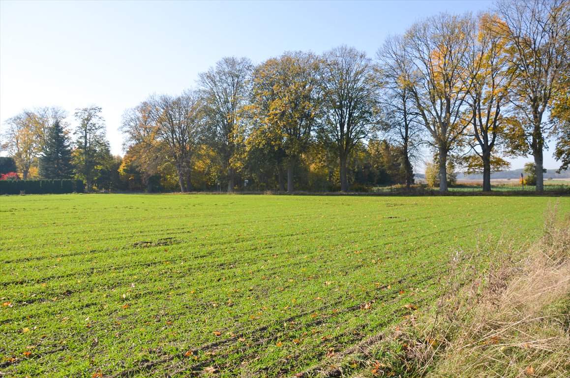 Działka siedliskowa na sprzedaż Borkowo  3 000m2 Foto 11