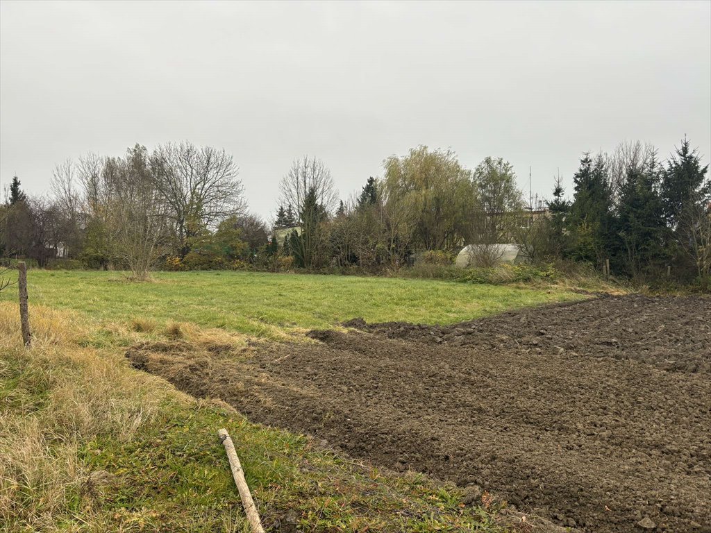 Działka budowlana na sprzedaż Malbork, Miłoradz  2 598m2 Foto 8