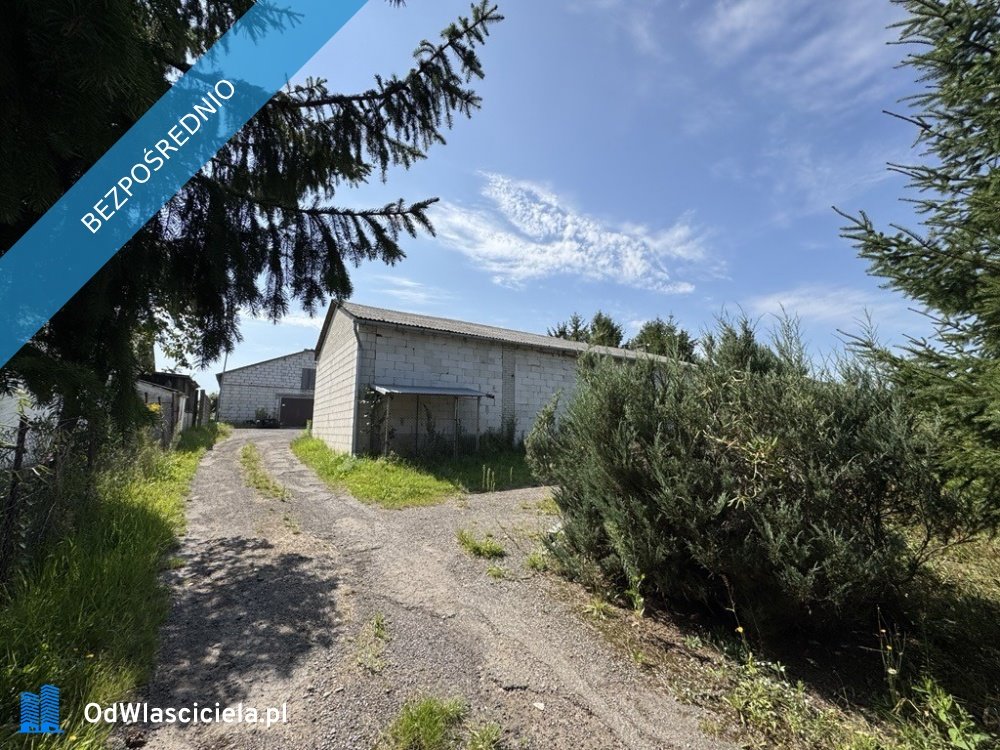 Działka 16 611 m² z zabudową i uprawami, Jawidz Jawidz  16 611m2 Foto 1