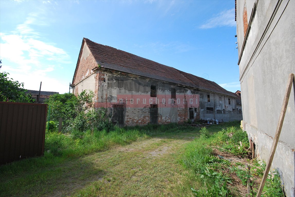 Dom na sprzedaż Buszyce  500m2 Foto 4