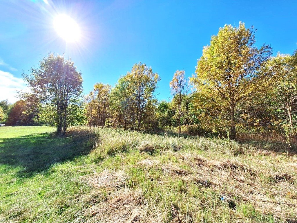 Działka budowlana na sprzedaż Firlej, Działkowa  1 501m2 Foto 7