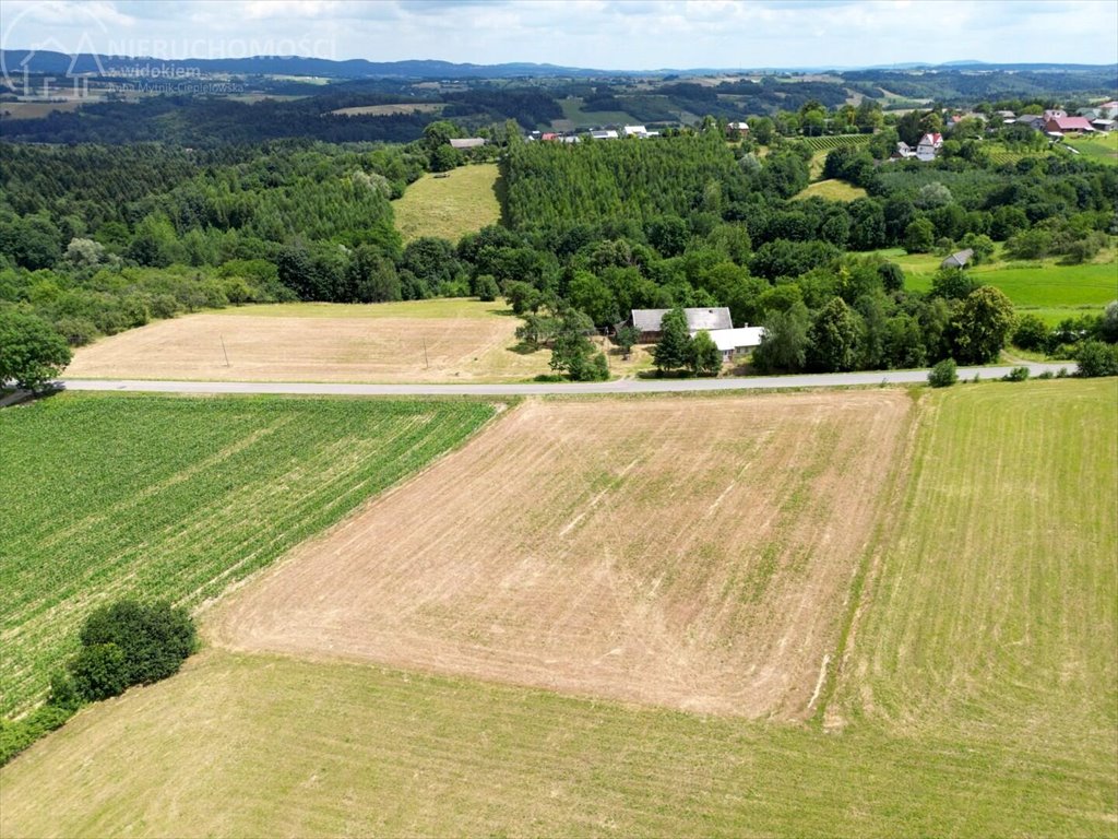 Działka budowlana na sprzedaż Turza  2 400m2 Foto 15