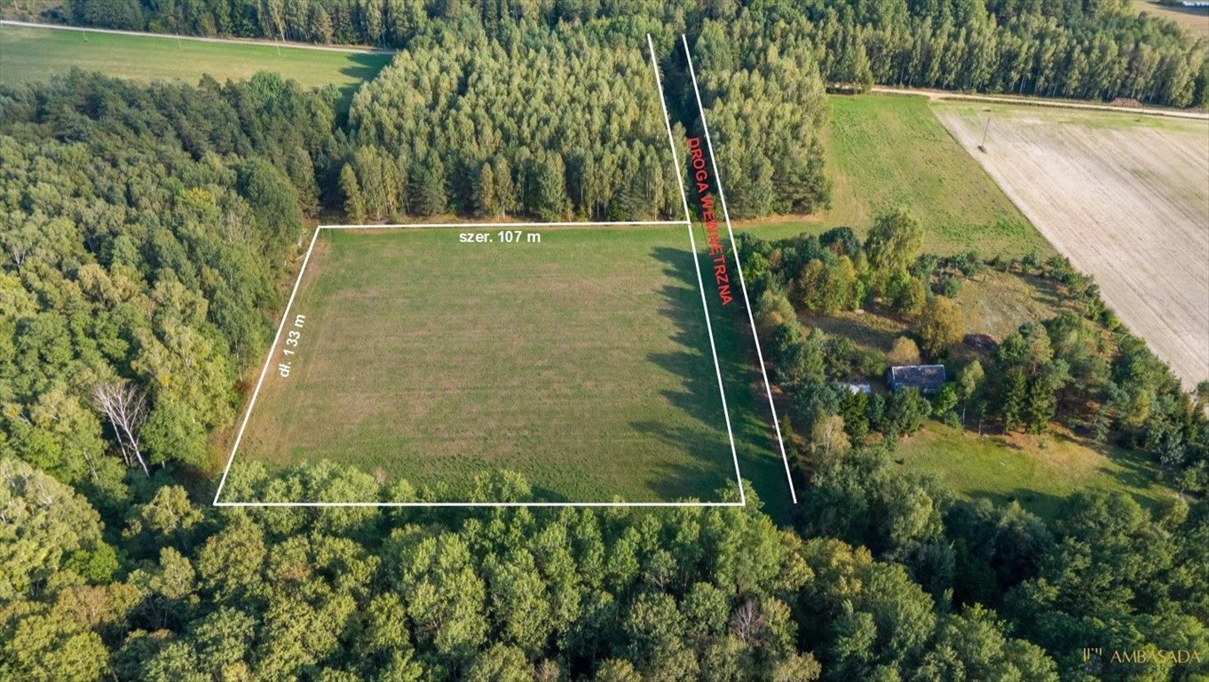 Działka 14 250 m² w Folwarkach Małych z lasem i mediami Folwarki Małe  14 250m2 Foto 1