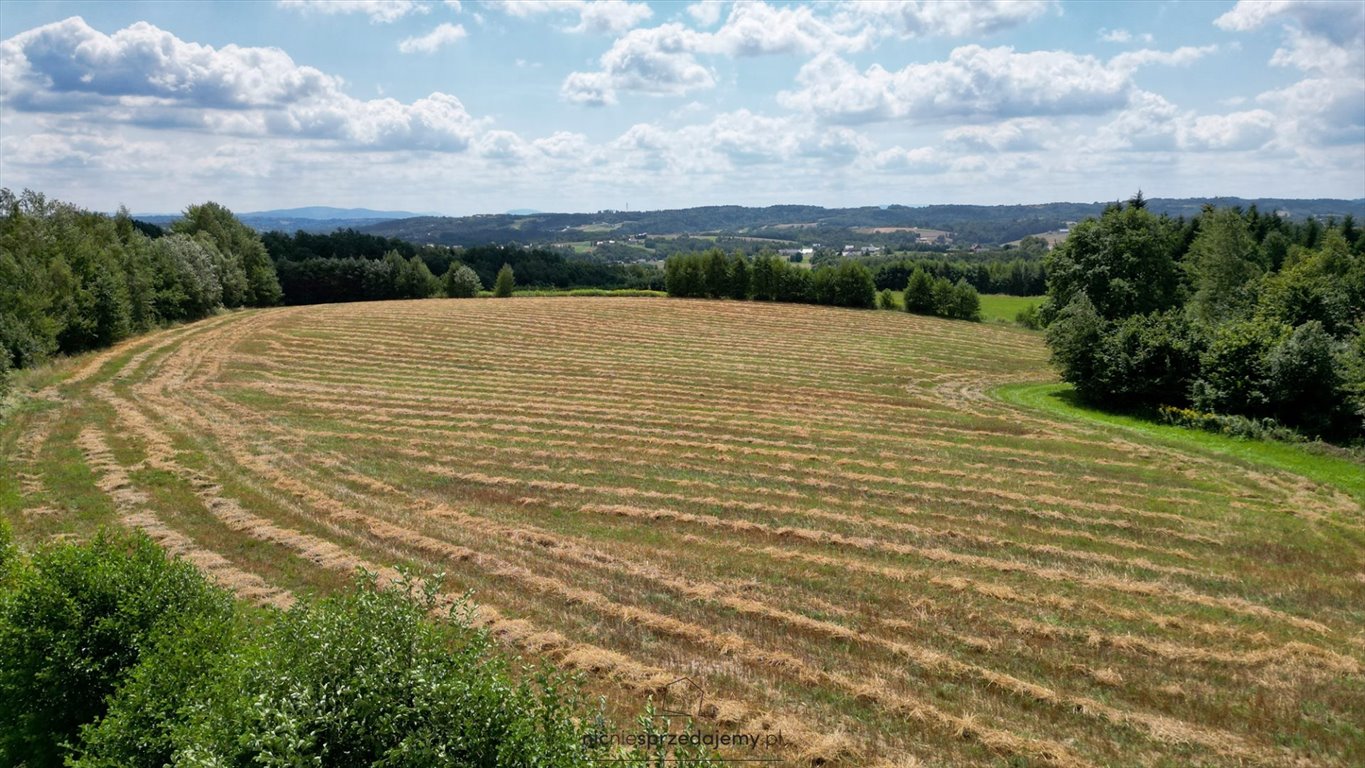 Działka budowlana na sprzedaż Gromnik, Siemiechów, Siemiechów, Siemiechów  1 025m2 Foto 2