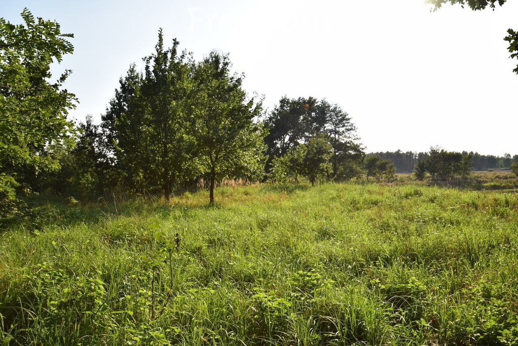 Działka budowlana na sprzedaż Niemodlin  1 700m2 Foto 3