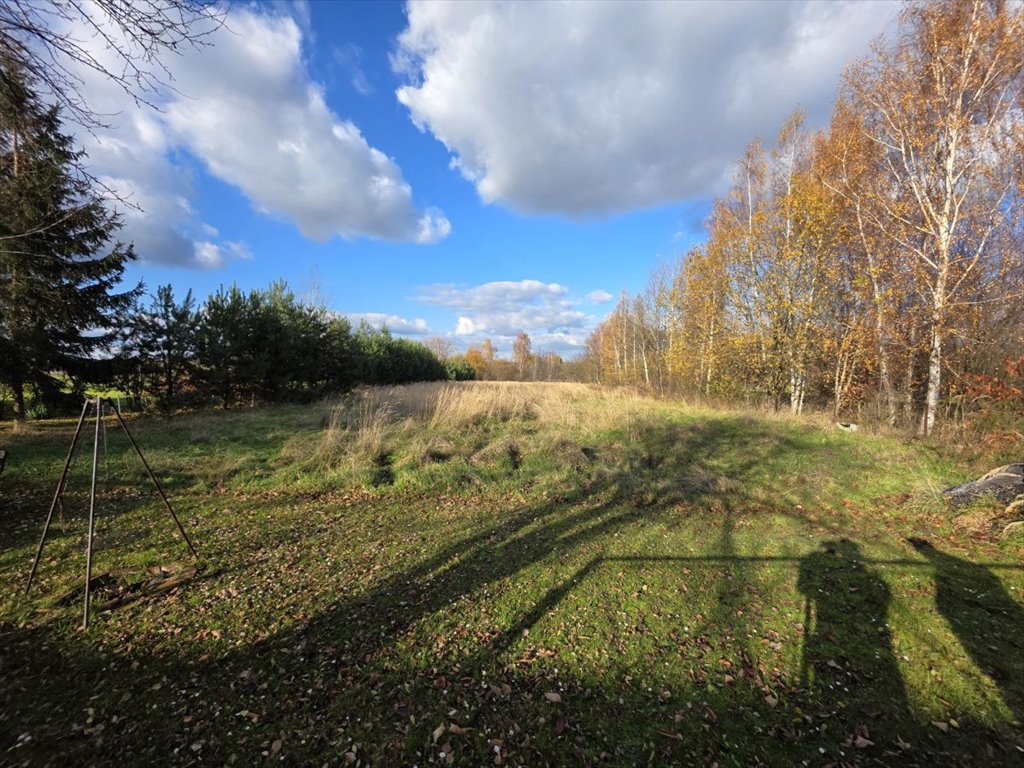 Działka budowlana na sprzedaż Trzciana  3 800m2 Foto 1