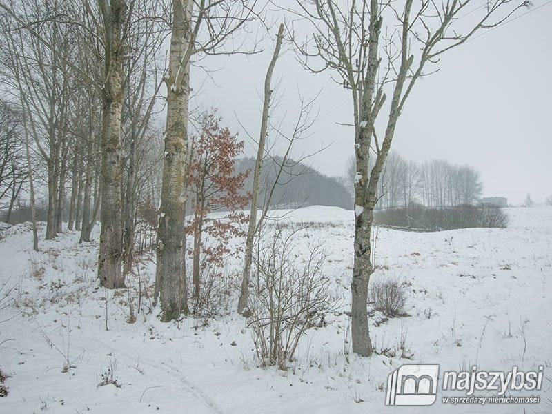 Lokal użytkowy na sprzedaż Storkowo, Centrum  3 670m2 Foto 22