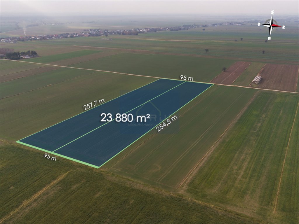 Działka rolna na sprzedaż Jedlno Pierwsze  23 880m2 Foto 1