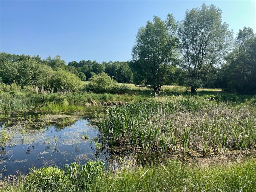 Działka inna na sprzedaż Jabłonka Stara, Jabłonka Stara  47 925m2 Foto 1