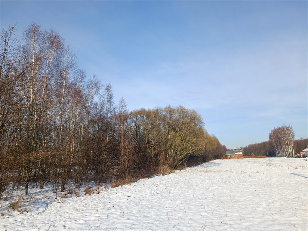 Działka siedliskowa na sprzedaż Stare Budy Radziejowskie, Nad Stawem  11 712m2 Foto 5