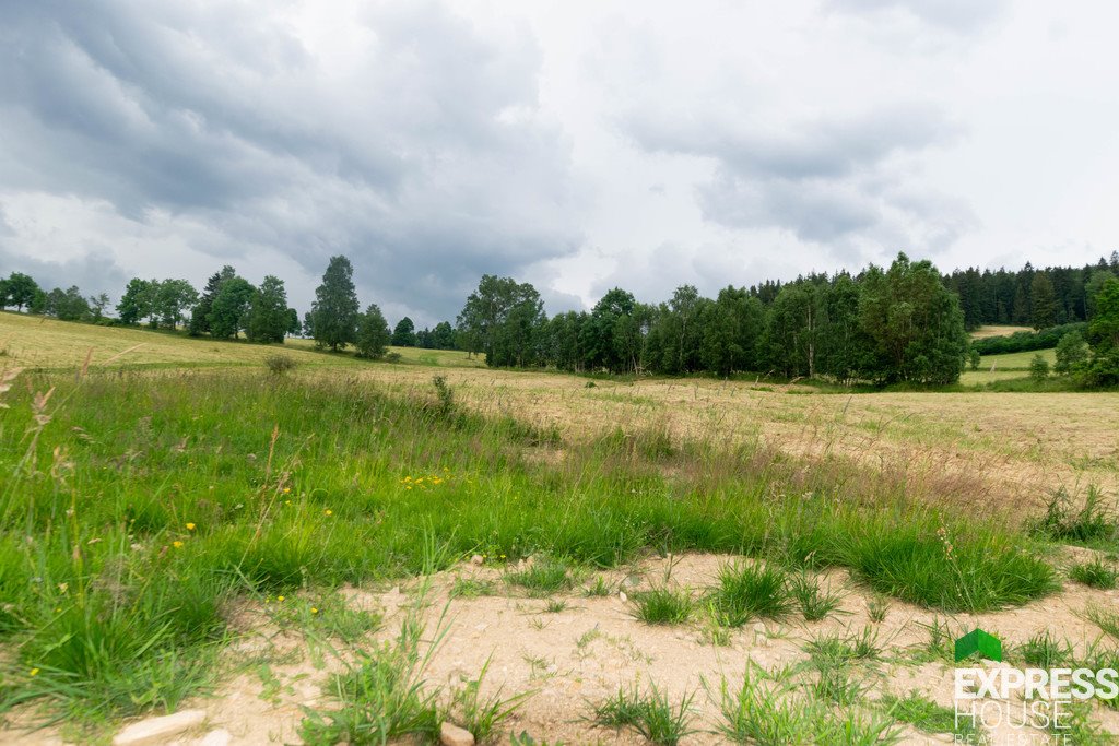 Działka budowlana na sprzedaż Stronie Śląskie, Polna  2 617m2 Foto 11