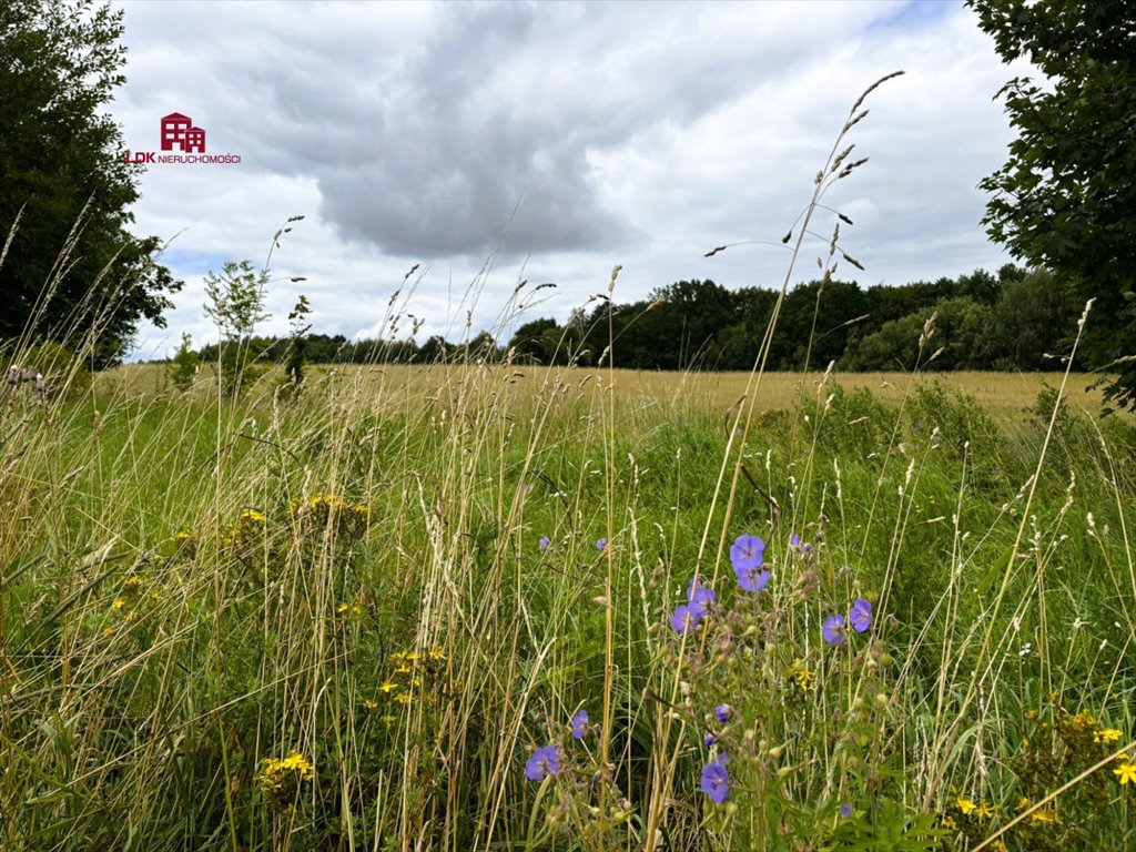 Działka siedliskowa na sprzedaż Mierzeszyn, Gdańska  11 097m2 Foto 4