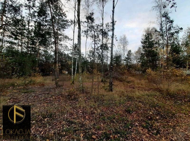 Działka budowlana 1600 m² z mediami w Emilianowie zapraszam Emilianów  1 600m2 Foto 1