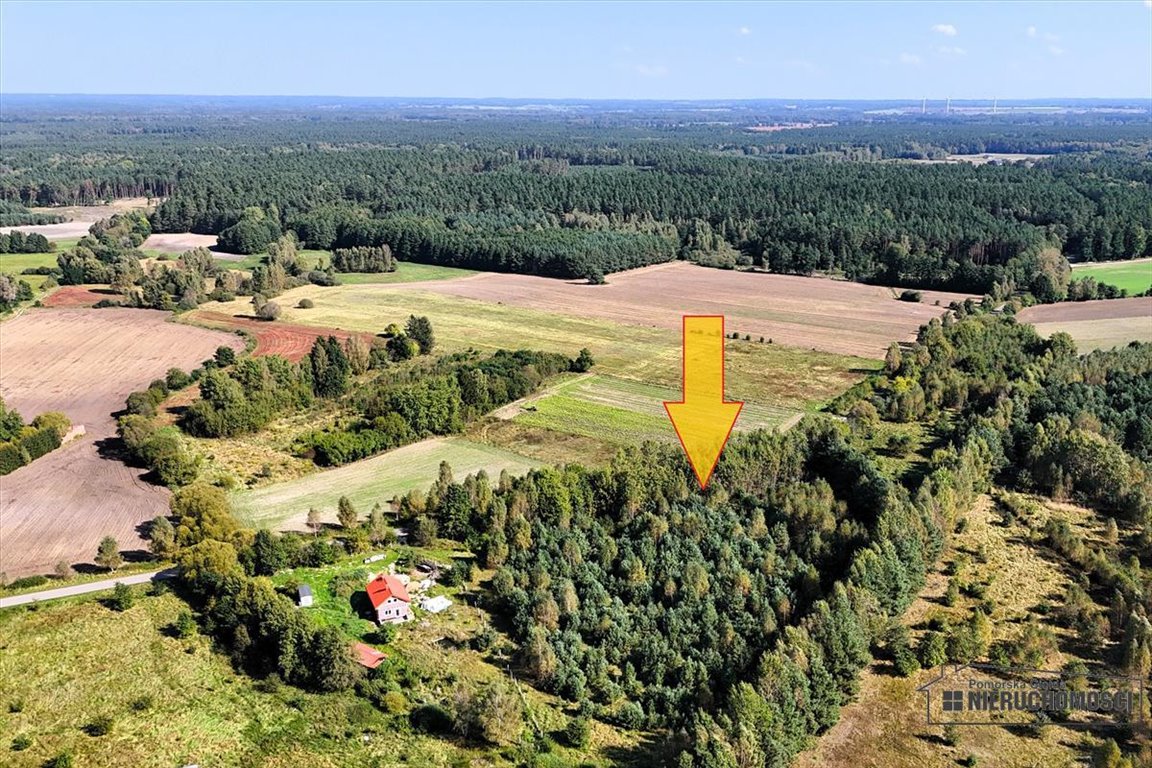 Działka budowlana na sprzedaż Krosino  3 057m2 Foto 3