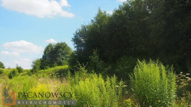 Działka rolna 1,29 ha z widokiem, media do podłączenia Bosutów, Boleń  12 900m2 Foto 1