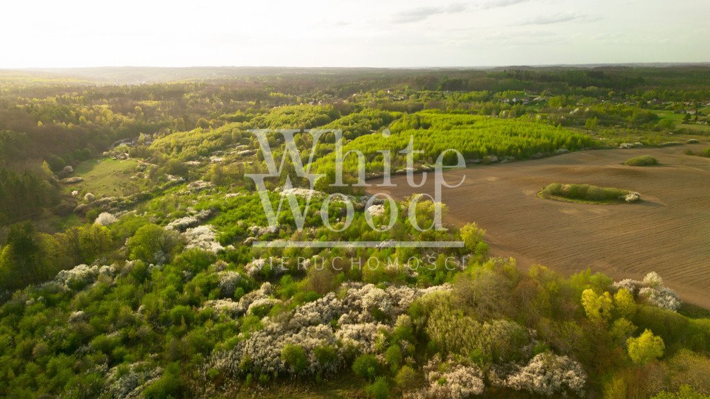 Działka 12 000 m² w Pręgowie Górnym z planem rezydencjonalnym Pręgowo Górne  12 000m2 Foto 1