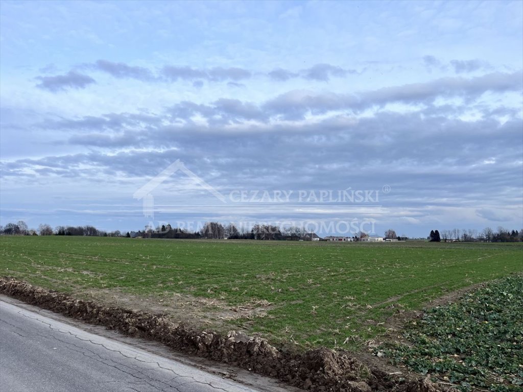 Działka budowlana na sprzedaż Bogucin, Bogucin  3 900m2 Foto 7