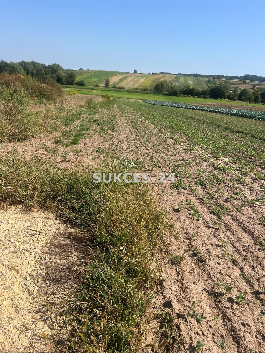 Działka inna na sprzedaż Goszyce, Na Błonie  7 000m2 Foto 2