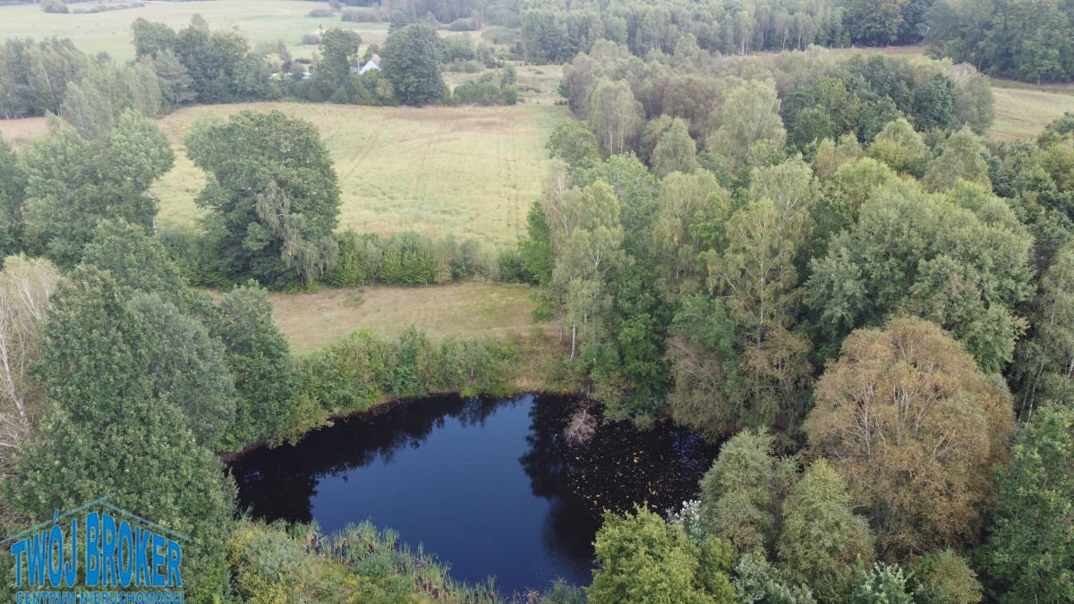 Działka z własnym stawem i lasem, Kaszuby - polecam Masłowiczki, własny staw i ziemia pod budowę  25 000m2 Foto 1