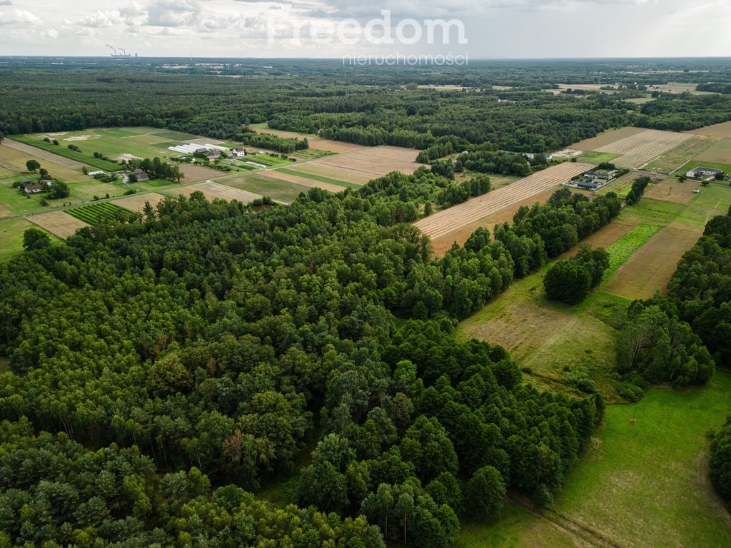 Działka budowlana na sprzedaż Drużbice  1 264m2 Foto 3