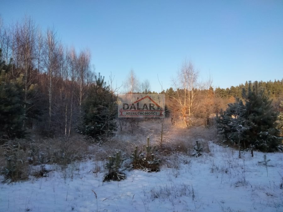 Działka inna na sprzedaż Nowy Żelechów  25 800m2 Foto 3