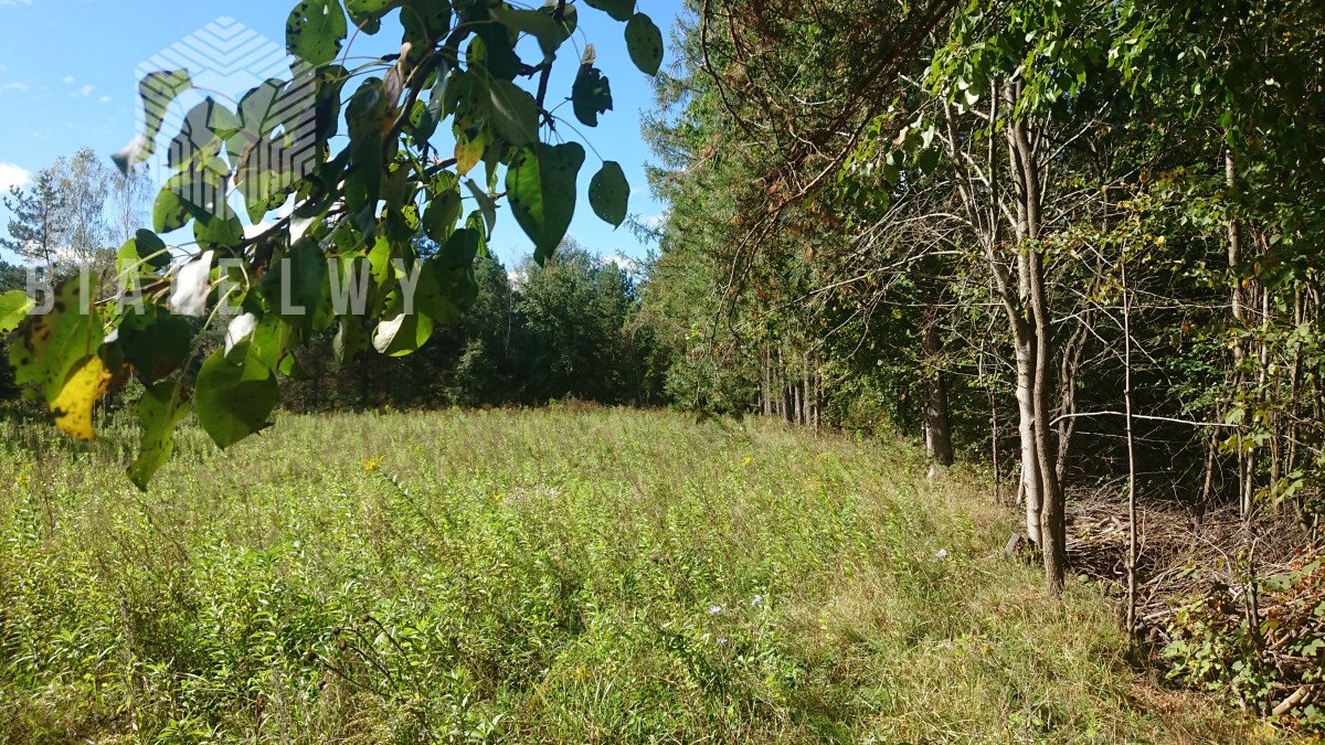 Działka budowlana na sprzedaż Woźbin  4 765m2 Foto 1