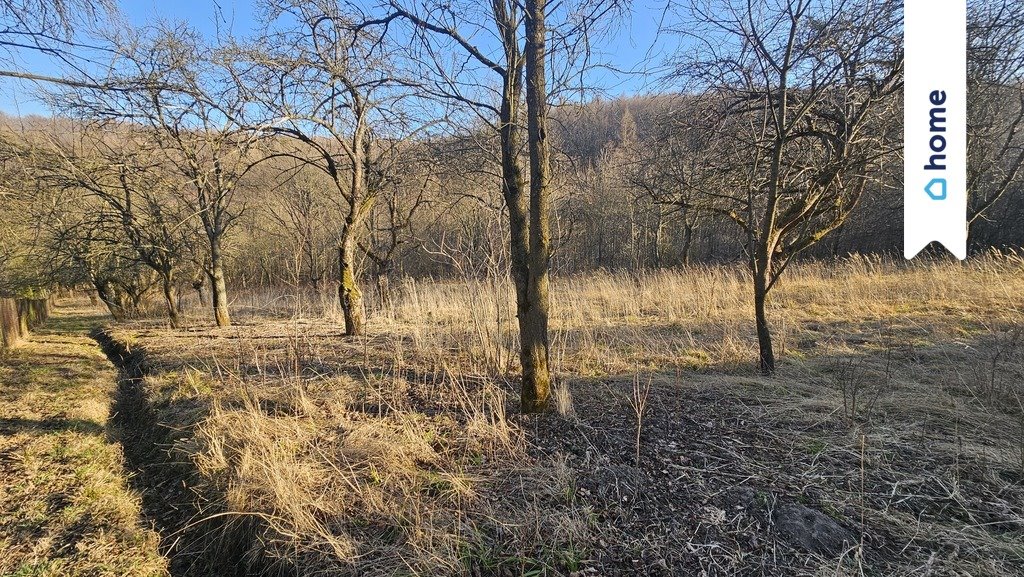 Działka rolna na sprzedaż Chodakówka  3 200m2 Foto 1