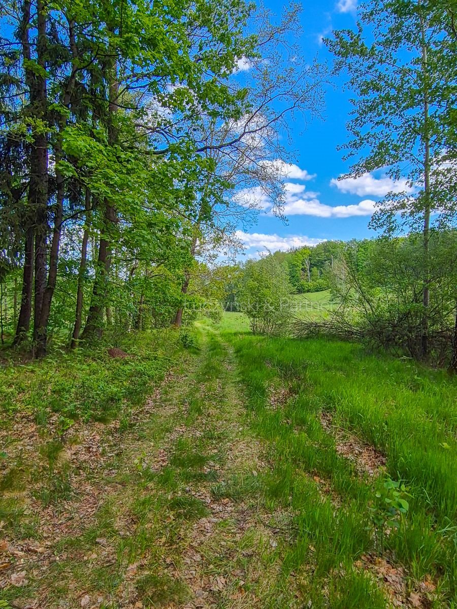 Działka rolna na sprzedaż Kromnów  49 500m2 Foto 3