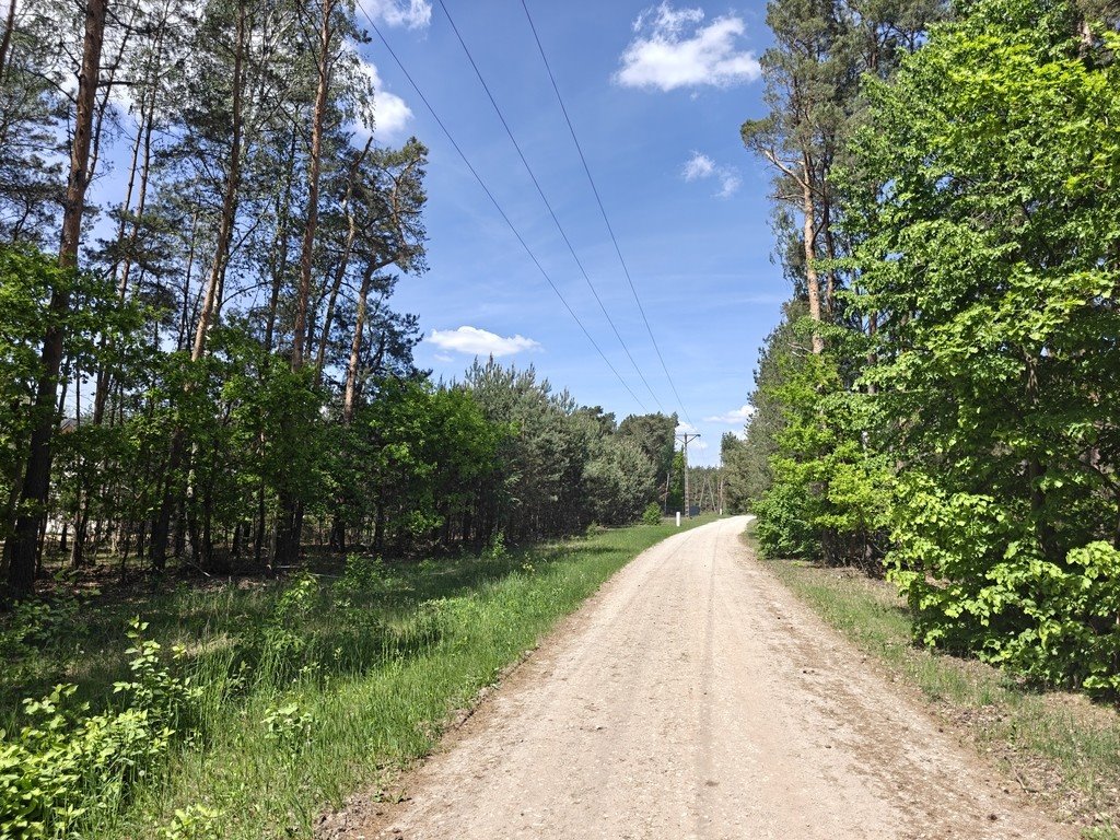 Zapraszam do zakupu działki 5400 m² z lasem w Krzyżówce Krzyżówka, Kolejowa  5 400m2 Foto 1