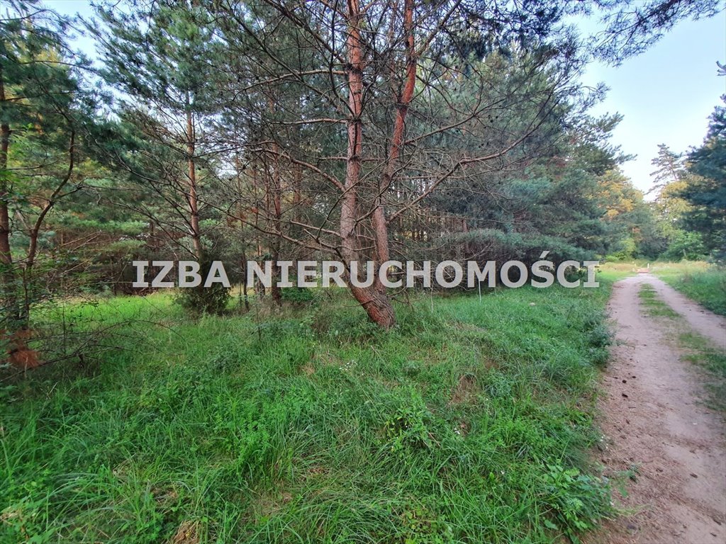 Działka rekreacyjna na sprzedaż Barany  3 001m2 Foto 3