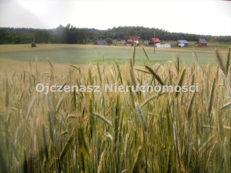 Działka rolna na sprzedaż Lipy 3 000m2 Foto 1 Działka rolna na sprzedaż Lipy 3 000m2 Foto 1
