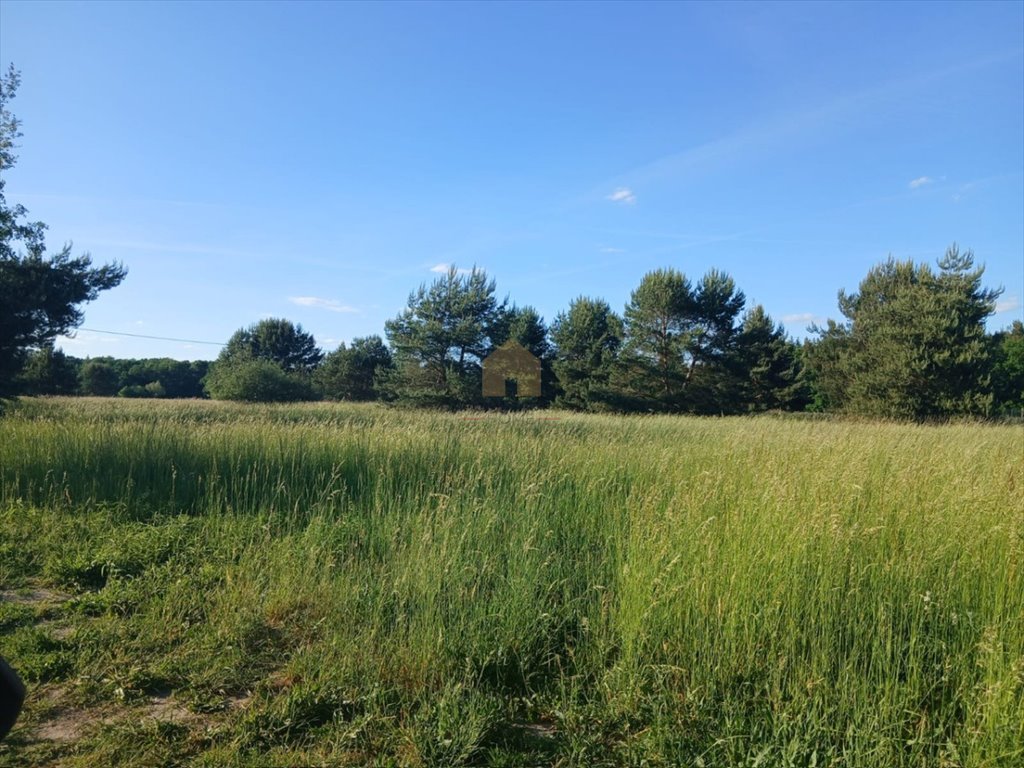 Działki budowlane Niemstów - 2x997 m² - pod inwestycję Niemstów  2 000m2 Foto 1