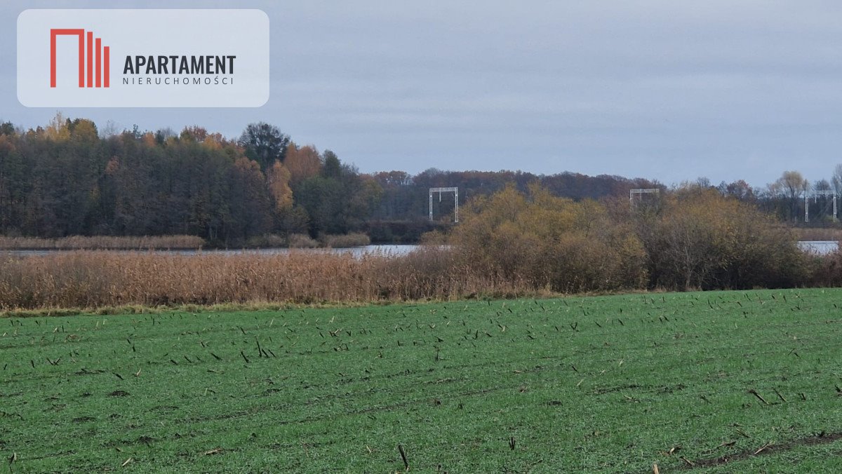 Działka budowlana na sprzedaż Jeżewo, Lipienki  4 000m2 Foto 2