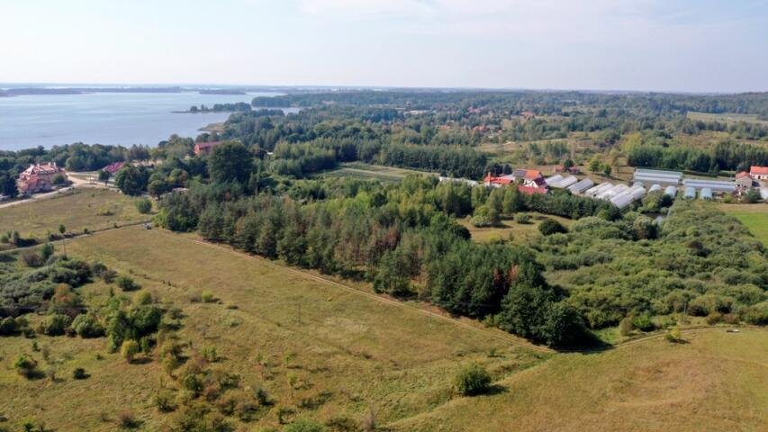 Działka budowlana na sprzedaż Ogonki  8 100m2 Foto 4