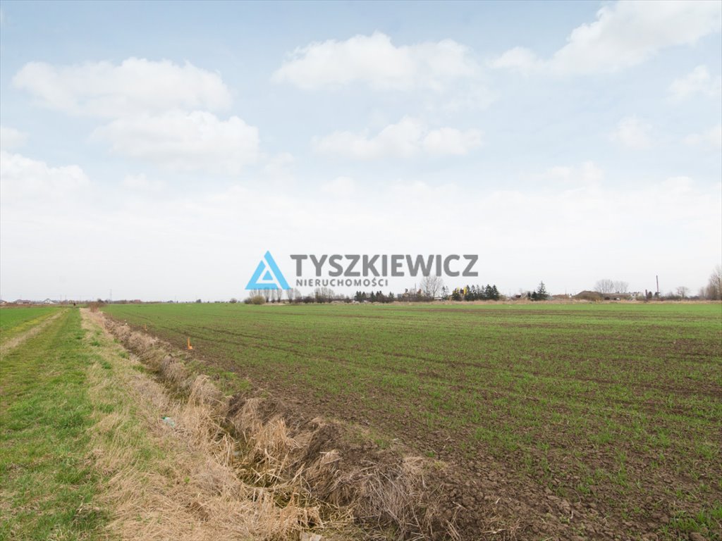 Działka przemysłowo-handlowa na sprzedaż Nowy Dwór Gdański, Okopowa  1 206m2 Foto 8