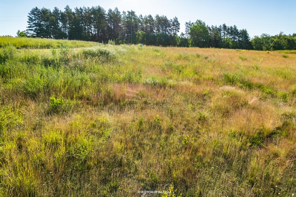 Działka budowlana na sprzedaż Kosewo  4 041m2 Foto 12