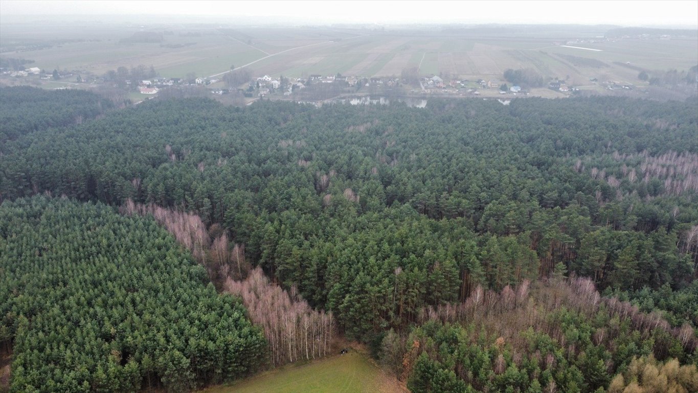 Działka leśna na sprzedaż Gorzakiew  27 000m2 Foto 7