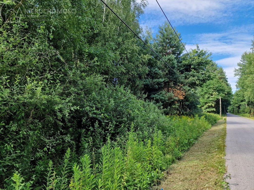 Działka leśna na sprzedaż Pojawie  10 700m2 Foto 9