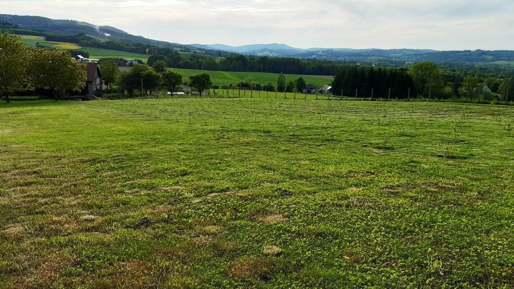 Działka budowlana na sprzedaż Markuszowa  30 000m2 Foto 3