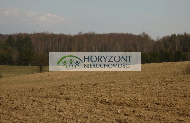 Działka 1,21 ha z widokiem na jezioro i planem domu Grabowska Huta  12 165m2 Foto 1