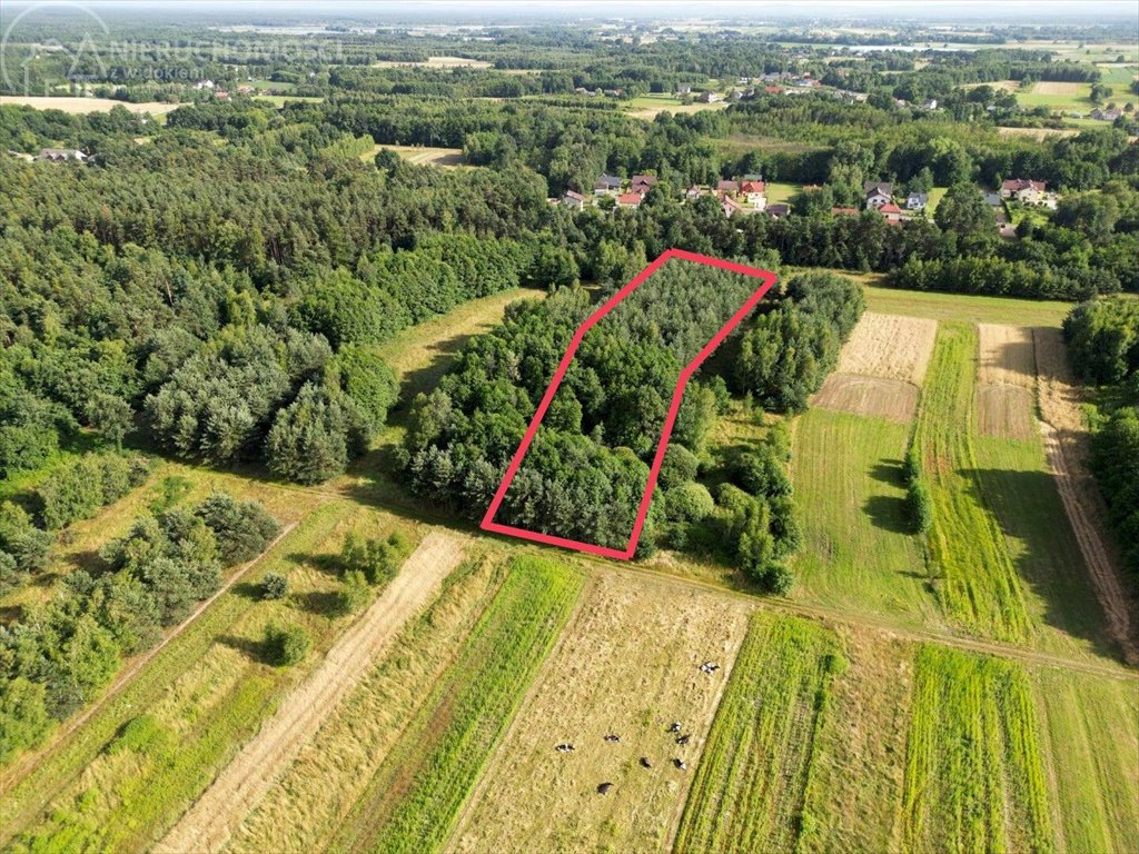 Działka rolna na sprzedaż Zaborów  5 300m2 Foto 11