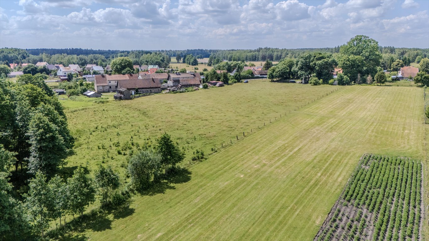 Działka budowlana na sprzedaż Kolonia  14 500m2 Foto 6