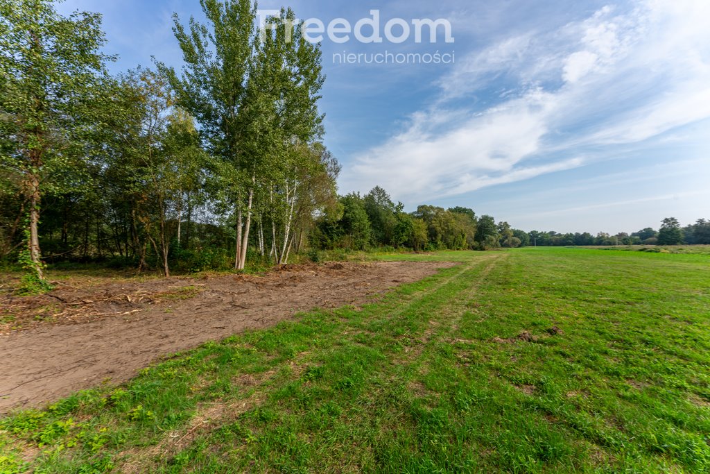 Działka rolna na sprzedaż Warka, Niemojewice  8 614m2 Foto 7