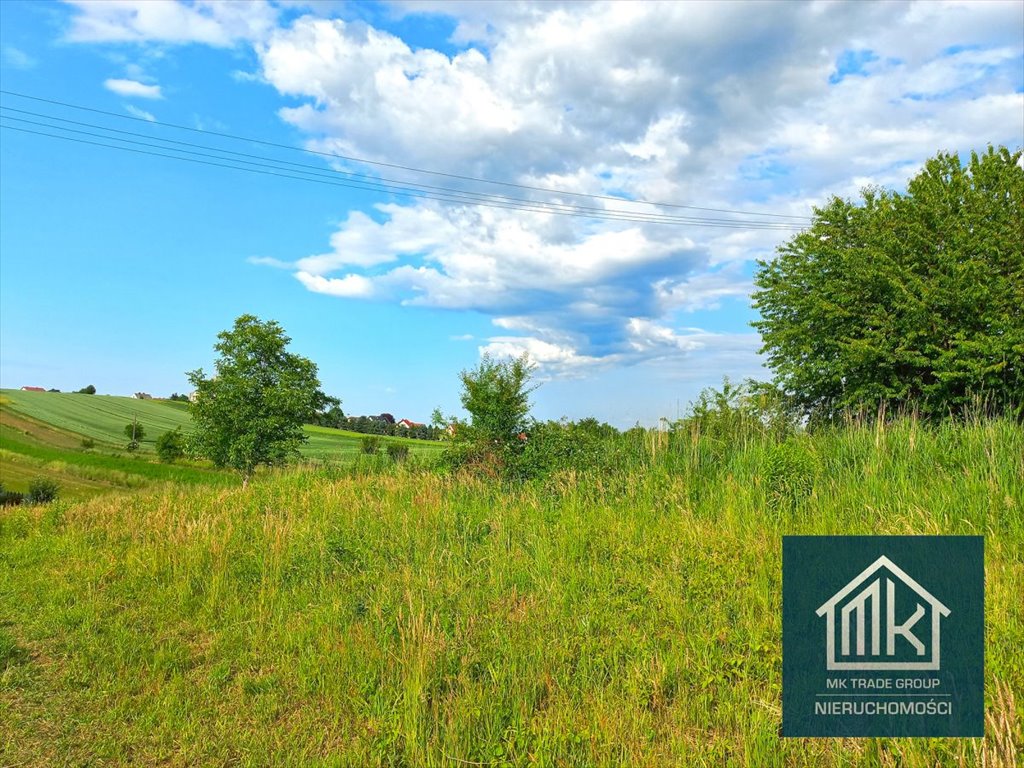 Działka budowlana na sprzedaż Szarów  2 633m2 Foto 1